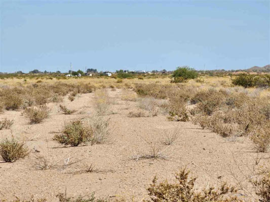 55903322 STETSON, DATELAND, AZ 85333, photo 2 of 3